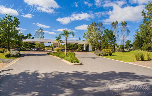 Imagen 11 de 14 de Venta - Lote En Terralagos