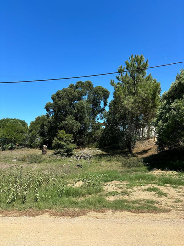 Terreno En Balneario Buenos Aires
