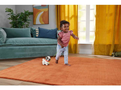 Fisher-price Juguete Para Bebés Pug Pasea Conmigo Color Multicolor