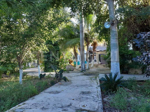 Rancho Tipo Hacienda De 36 Has En Telchac Pueblo Con Cenote. A 42 Kms De Mérida