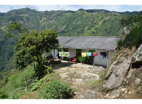 Venta Finca 77000 Mts2 Abejorral Vereda El Guaico