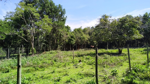Imagem 3 de 5 de Chácara À Venda, Prata - Sao Goncalo Do Para/mg - 31525