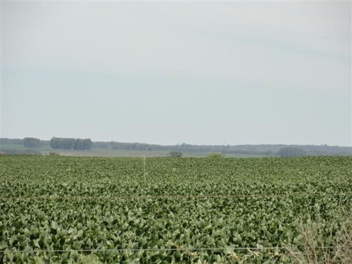Campo En Venta En Solís De Mataojo