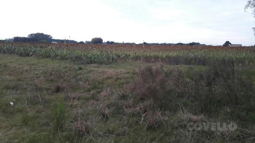 Campo En Colonia Estrella Ruta 21