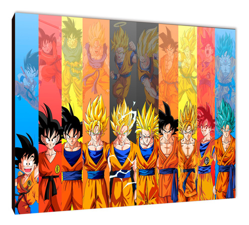 Cuadros Anime Dragon Ball Xl 33x48 (dbll (9))