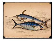 Comprar #917 - Cuadro Vintage - Pesca Pez Mar Rio Poster No Chapa