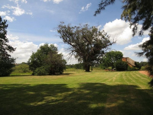 Chacra En Venta Camino Lussich 3 Dormitorios- Ref: 217462