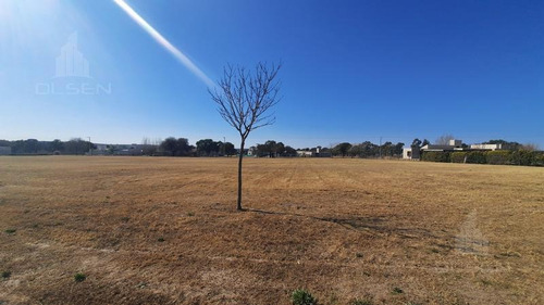 Imagen 14 de 14 de No Lo Pierda! Central 2250m2 Seguridad Disfrute De La Tranquilidad