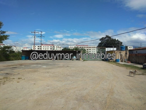Imagen 4 de 4 de Galpón En Venta Palo Negro 0412-872-45-45