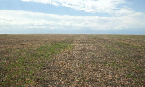 Imagen 5 de 6 de En Venta 62ha, Campo Mixto, Agro-ganadero En Bermúdez (bs As).