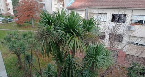 Departamento En Venta - 4 Dormitorios 1 Baño - 90mts2 - Mar Del Plata