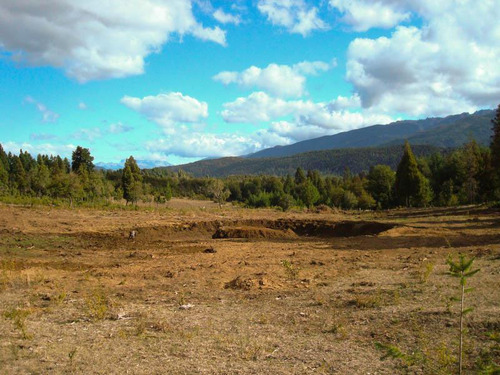 Chacra - Mallin Ahogado