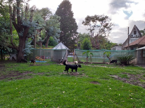 Imagen 3 de 5 de Guarderia Canina Rincon De Tortuguitas