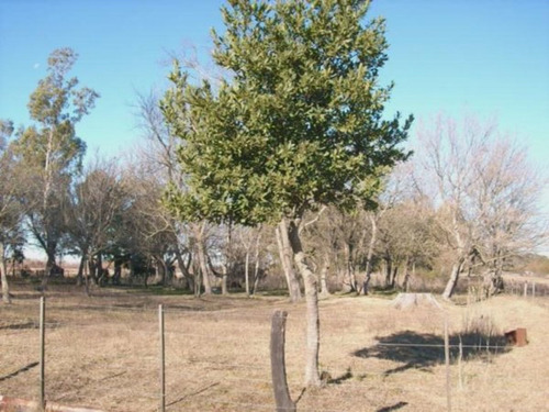 Imagen 10 de 12 de Campo Con Casa En Las Flores ,7 Hectarias,sojero