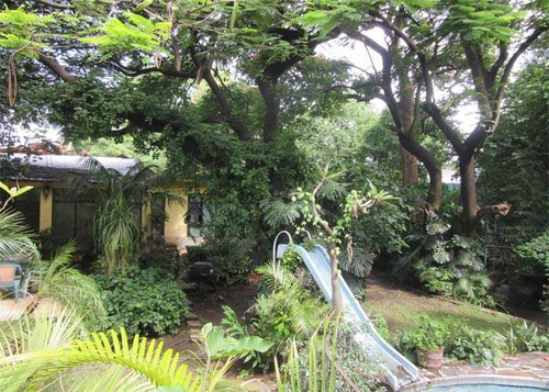 Imagen 2 de 3 de Terreno En Venta En Acapantzingo, Cuernavaca