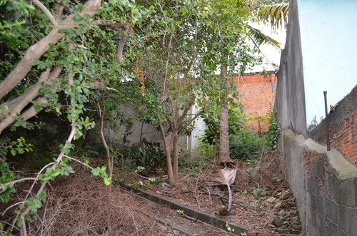 Imagem 14 de 14 de Terreno Para Venda, 1030.7163 M2, Pirituba - São Paulo - 2613