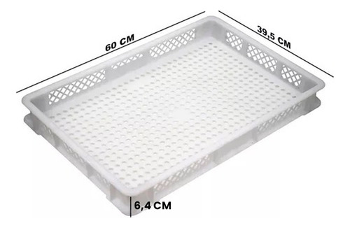 15 Bandejas Plástica Vazada Empilhável Congelamento Massas Cor Branco