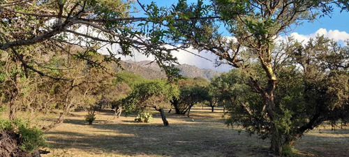 Imagen 28 de 30 de Cabañas/casas Alquiler Temporario En Predio De 1 Hectárea Con Vista A La Montaña , A 15 Min De Merlo
