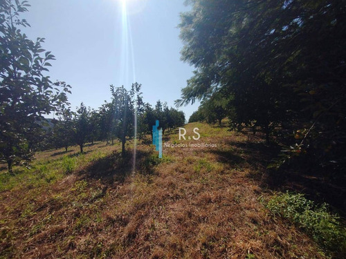 Sítio À Venda, 40000 M² Por R$ 2.000.000,00 - Engenho Seco - Louveira/sp - Si0009