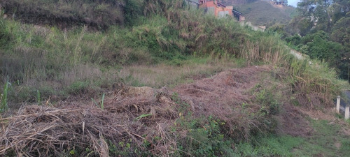 Imagen 2 de 7 de Colinas De Carrizal
