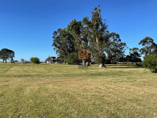 Campo De 95 Has. Ubicado A Tan Solo 15 De La Playa De José Ignacio Y A 40 De Punta Del Este