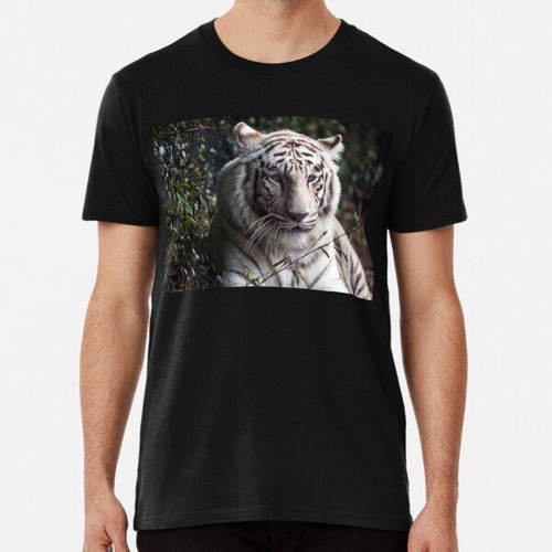 Remera Tigre Blanco, Zoológico De Montgomery, Montgomery, Al