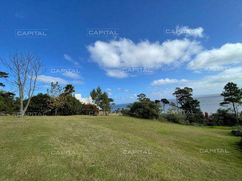 Imagen 2 de 6 de Terreno De 1003m2 En Venta En Punta Ballena. - Punta Ballena Lomo De La Ballena