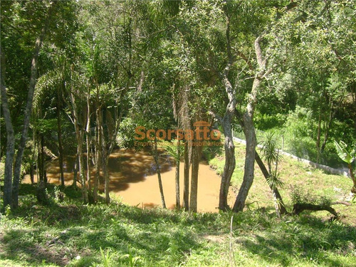 Imagem 13 de 15 de Chácara À Venda, Caputera, Cotia/sp - 3134