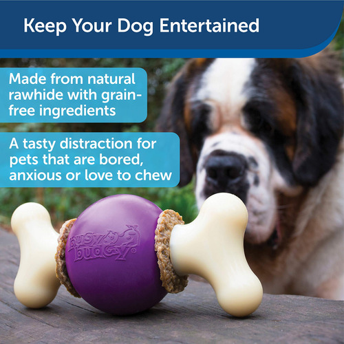 Petsafe Busy Buddy Bouncy Bone - Juguetes Para Perros Para S