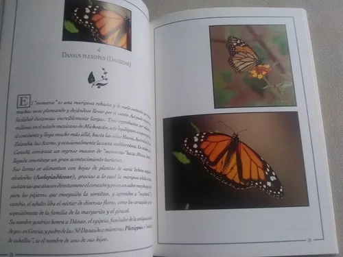 Mariposas De Caracas (Usado)