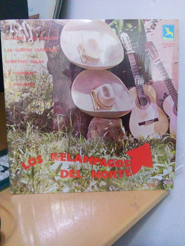 Los Relampagos Del Norte La Criminal Vinyl Lp Acetato
