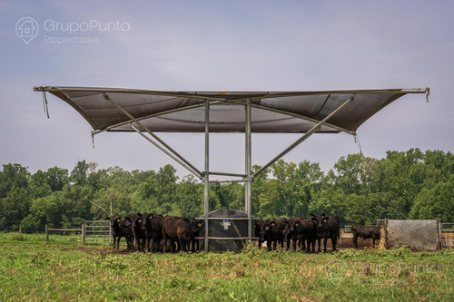 Campo En Venta - Rocha