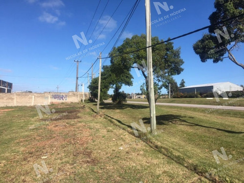 Imagen 10 de 14 de Terreno En Maldonado, Ruta 39 - Maldonado Ruta 39