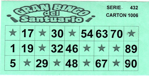 Cartones De Bingo Serie De 500 Unidades Personalizados