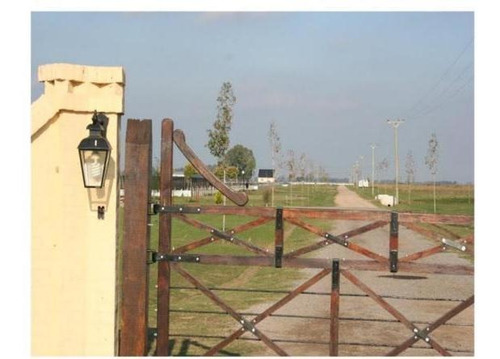 Imagen 6 de 12 de Terreno - 14.387.50 M2 - San Andres De Giles