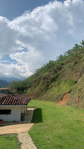Imagen 16 de 21 de Vendo Finca Ganadera En Balboa Risaralda