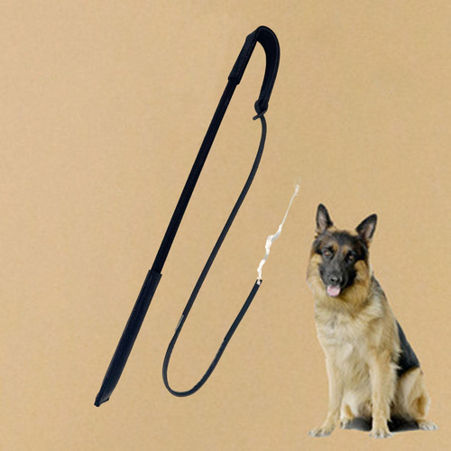 Látigo De Adiestramiento Canino, Herramienta De Negro