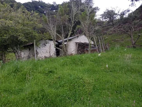 Se Vende Finca De 22 Hectáreas, Vía Duitama - Charala !valor Negociable!