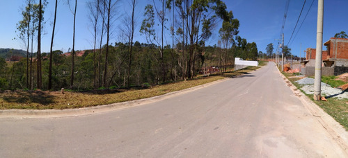 Imagem 6 de 14 de Lote 125 M2 - Fuja Do Aluguel - Pronto Para Construir