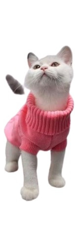 Roupinha Pet Sueter Gola Rolê Roupa Cachorro Gato