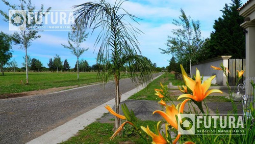 Imagen 1 de 19 de Terreno En Venta En Barrio Privado Pinares Del Sur Lote 63