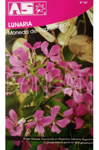 Sobre Semillas Flores As Lunaria Moneda Del Papa Blanca X 2g