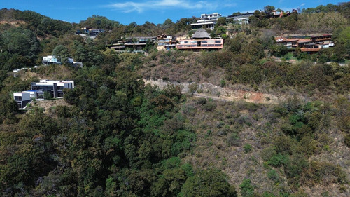 Gavilán 1
