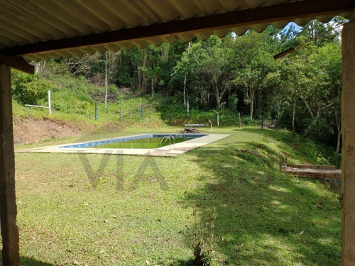 Imagem 6 de 30 de Sítio De 3,5 Alqueires, Excelente Localização! Com Área Aberta Para Criação Recreativa E Mata Nativa Para Trilha E Caminhada.. - 237 - 69821549
