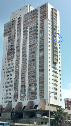Imagen 16 de 16 de Mar Del Plata. Peatonal Y Playa Con Cochera Alquiler Por Dia. Dueño Directo Garantia Total. Mira El Video