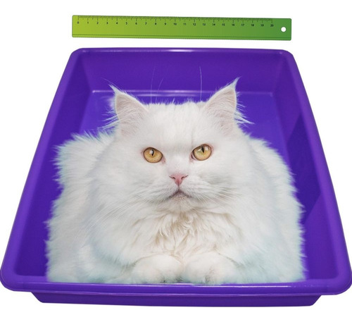 Accesorios De Higiene Arenero Para Gato Propets Color Violeta
