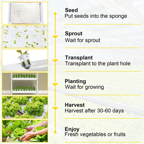 Sistema De Cultivo Hidropónico Para 36 Plantas 1 Capa Y 4