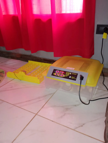 2954825490