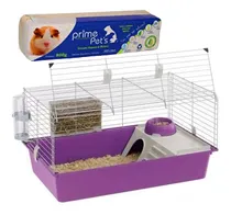 Comprar Jaula Cuis Cobayo Conejo + Viruta Premium 800 Gr \u002F 12 Cuotas