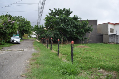 Imagen 6 de 13 de Lote 590 M2, Con 29m De Frente A Calle, Es Plano, Y Se Ubica A 500m Mas X Menos San Joaquín. Potencial Para Apartamentos